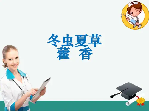 中药冬虫夏草ppt课件