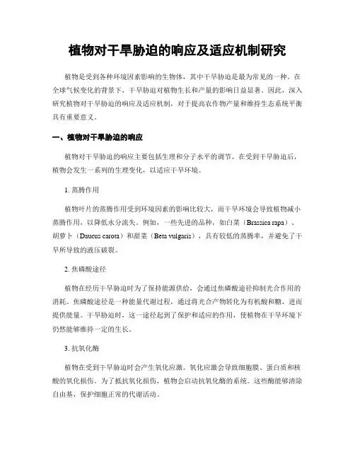 植物对干旱胁迫的响应及适应机制研究