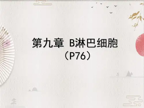 【医学免疫学】第9章 B淋巴细胞