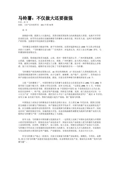 马铃薯：不仅做大还要做强