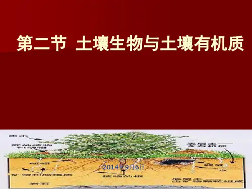 第2章 土壤的基本物质组成