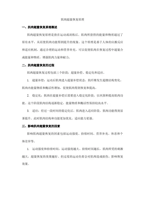 2023肌肉超量恢复原理