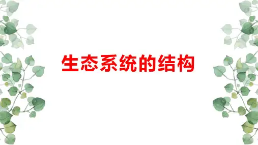 生态系统的结构-高考生物一轮复习课件(全国通用)