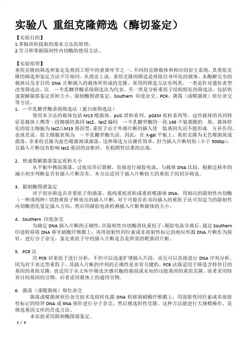 实验八 重组克隆筛选(酶切鉴定)
