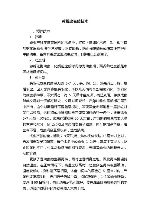 黄粉虫养殖技术