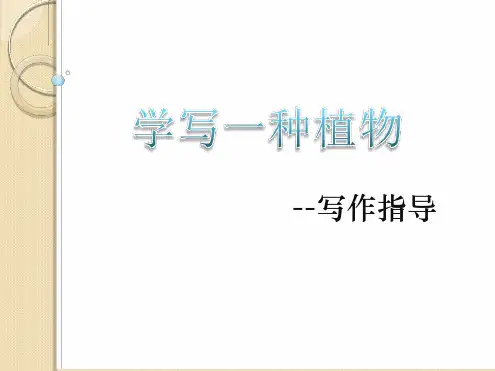 写作指导学写一种植物