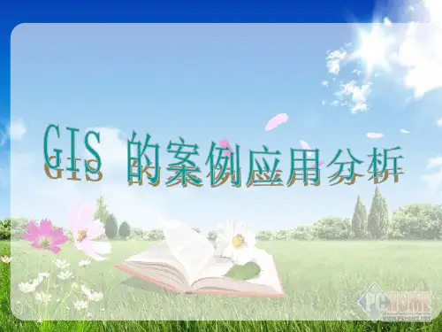 GIS_的案例应用分析