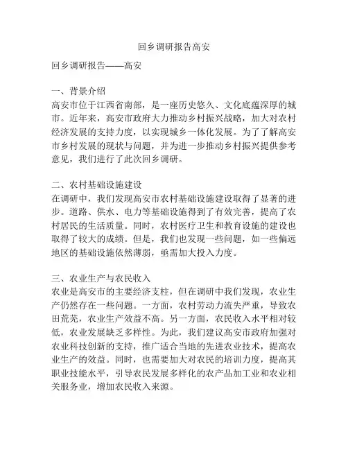 回乡调研报告高安