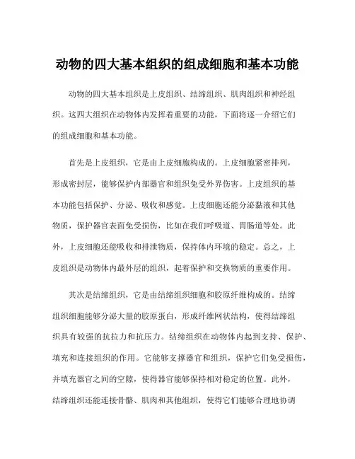 动物的四大基本组织的组成细胞和基本功能