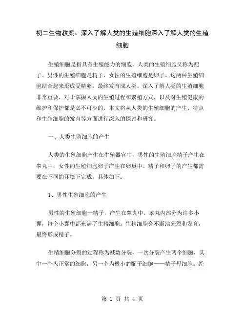 初二生物教案：深入了解人类的生殖细胞