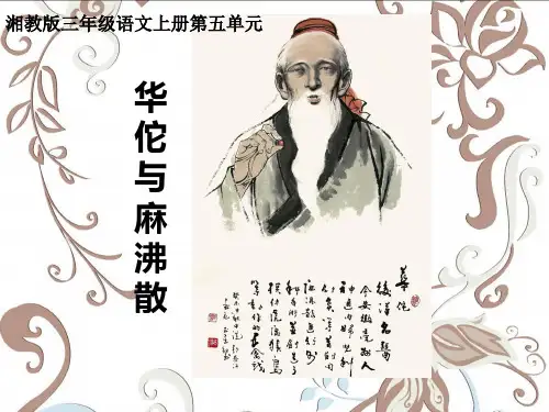 《华佗与麻沸散》 PPT课件