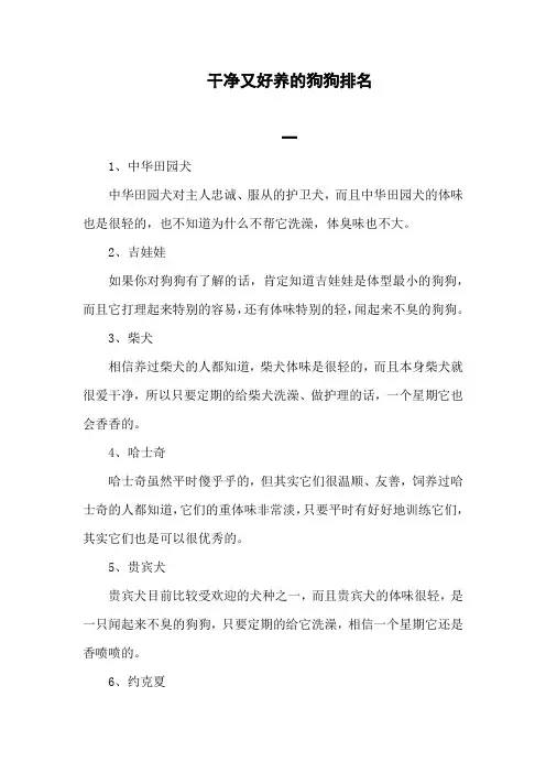 十大最干净最好养的狗