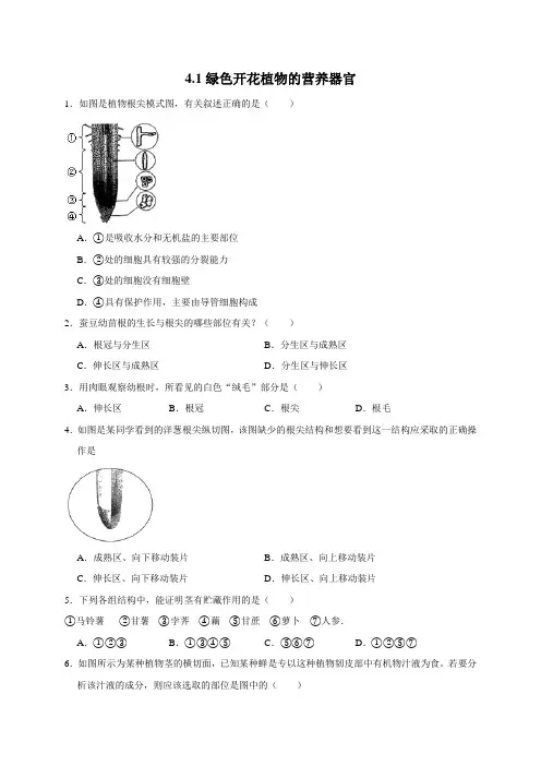 4.1绿色开花植物的营养器官—华师大版科学八年级上册同步检测