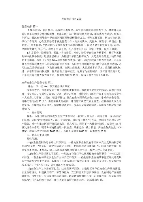 专项督查报告4篇