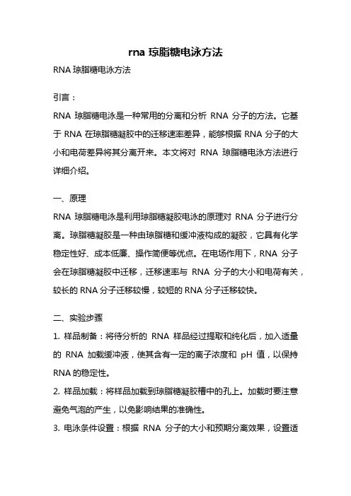 rna琼脂糖电泳方法