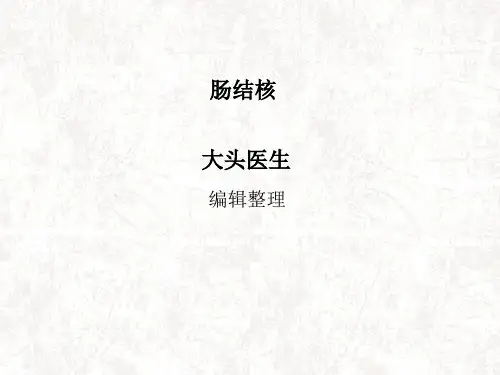 肠结核精品PPT课件