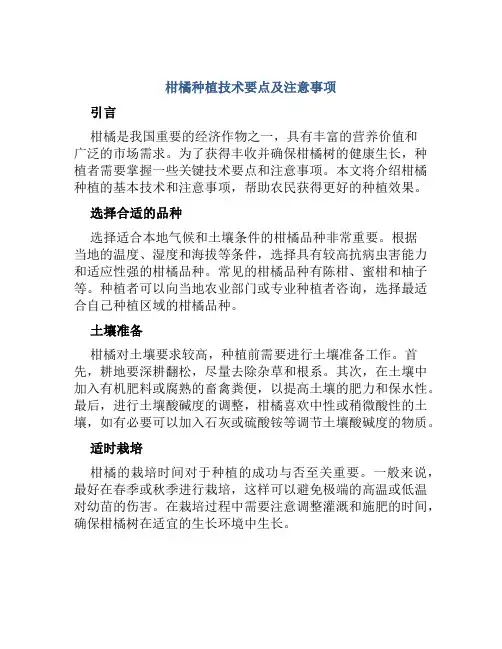 柑橘种植技术要点及注意事项