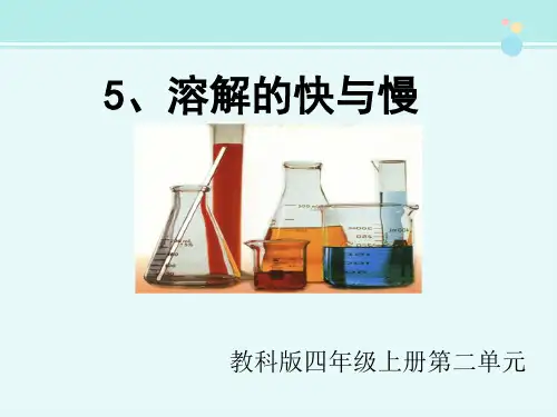 溶解的快与慢-完整版PPT课件