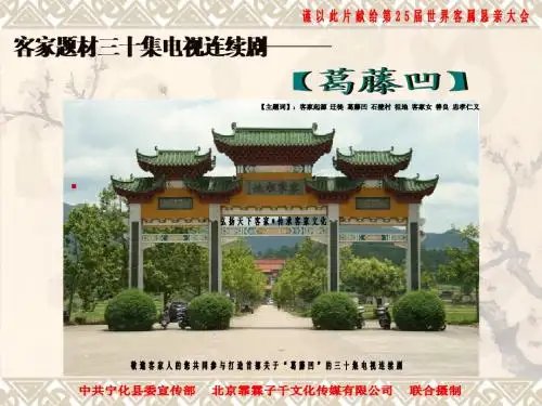 12.26电视剧《葛藤凹》 招商方案