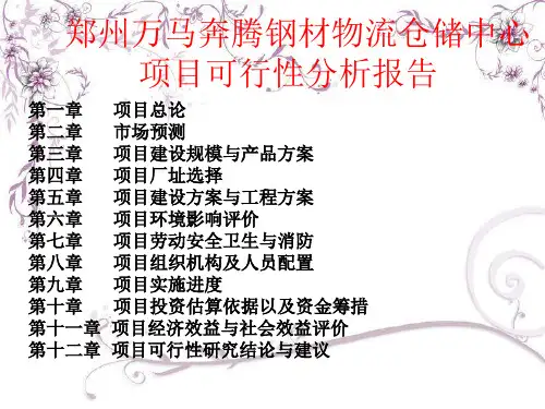 技术经济学作业(项目可行性分析报告) PDF