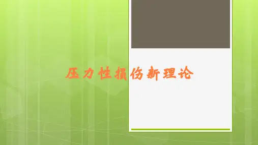 压力性损伤新理论