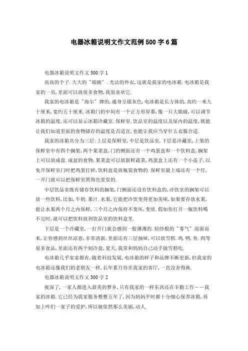 电器冰箱说明文作文范例500字6篇