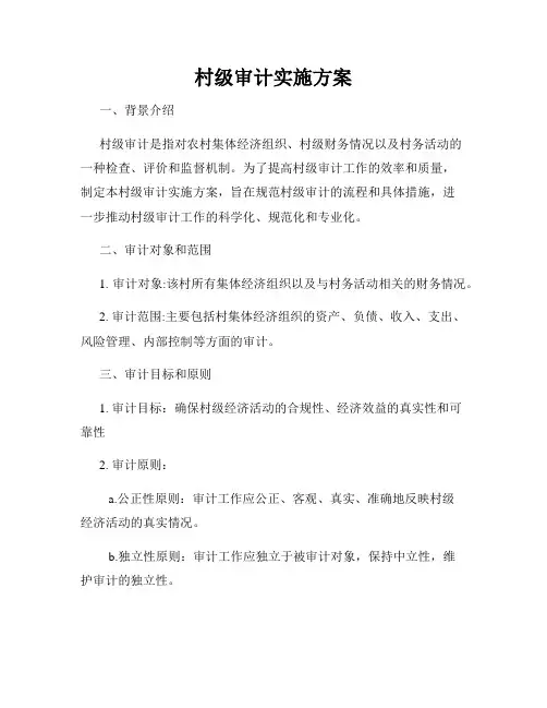 村级审计实施方案