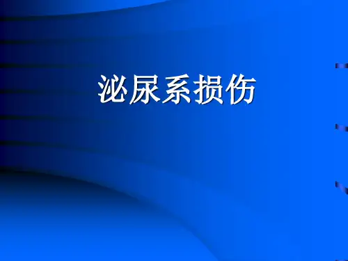 泌尿系损伤精品PPT课件