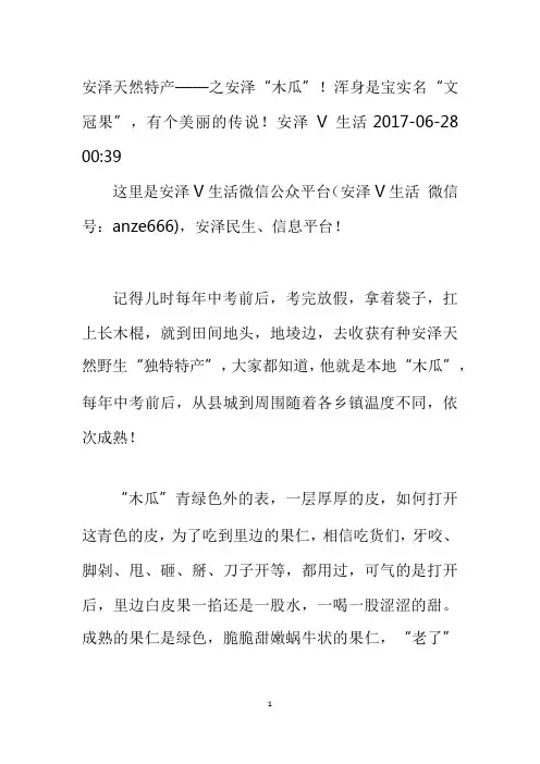 安泽天然特产木瓜——文冠果