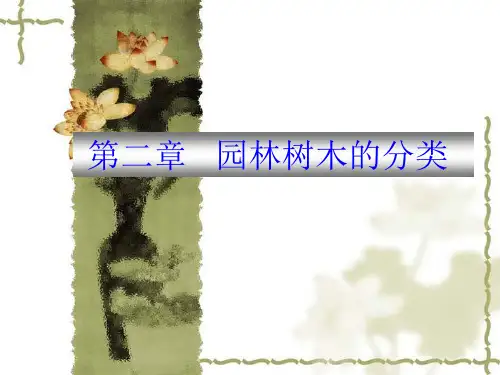 园林树木分类  ppt课件