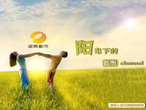 湖南都市2011收视分析