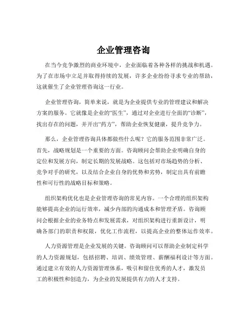 企业管理咨询