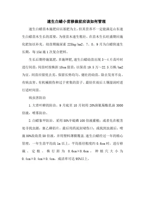速生白蜡小苗移栽前应该如何管理