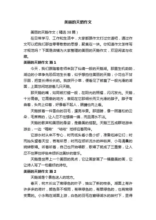 美丽的天鹅作文