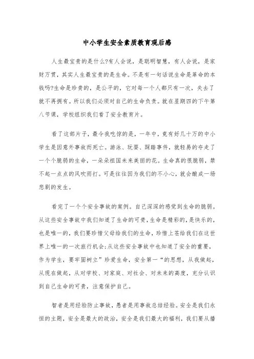 中小学生安全素质教育观后感（2篇）