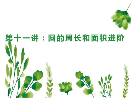 人教版六年级上册数学圆的周长和面积进阶(课件)