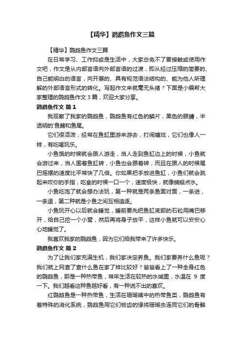 【精华】鹦鹉鱼作文三篇