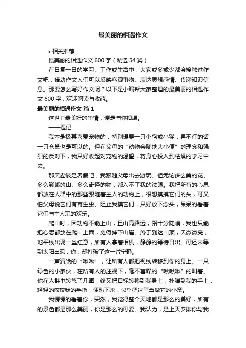 最美丽的相遇作文