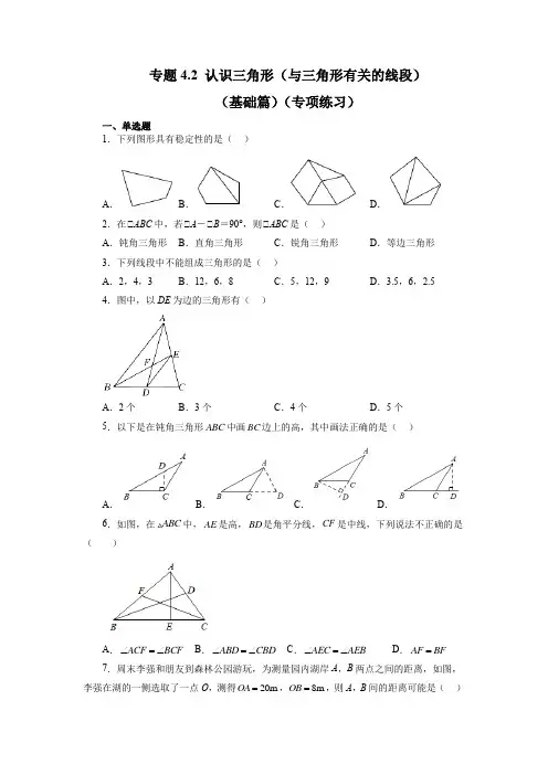 专题 认识三角形(与三角形有关的线段)(专项练习)数学七年级下册(北师大版)