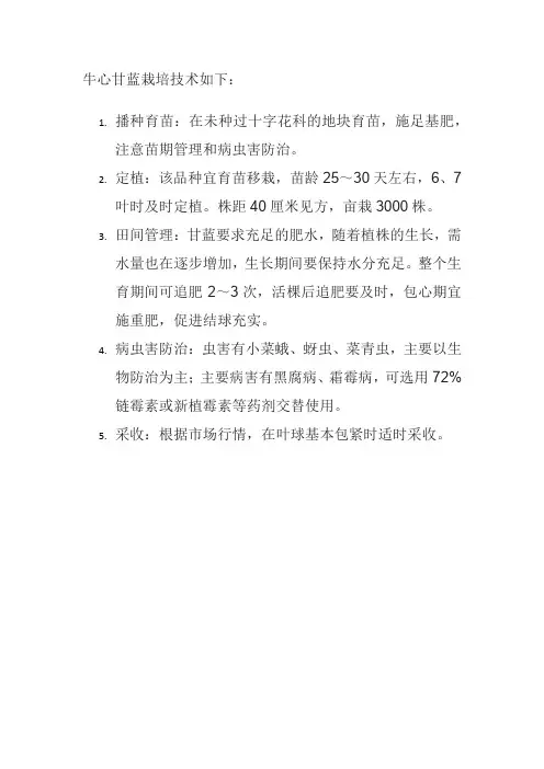 牛心甘蓝栽培技术