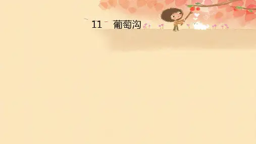11 葡萄沟课件(共27张PPT)