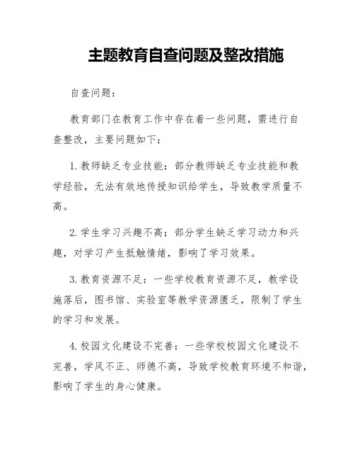 主题教育自查问题及整改措施