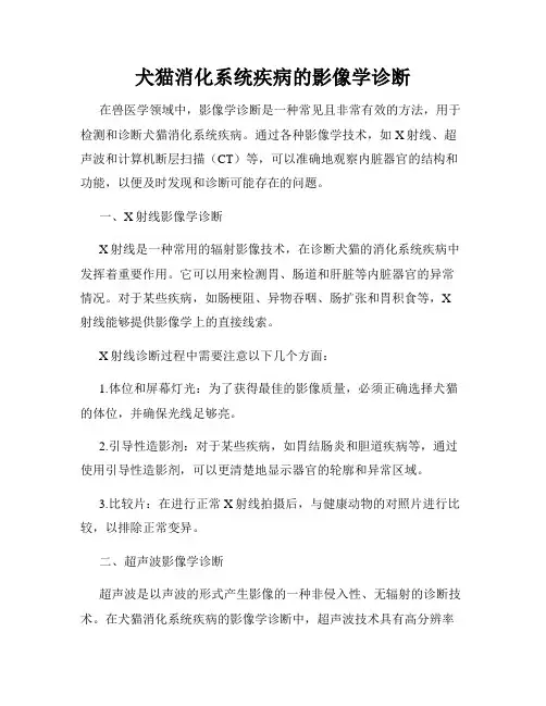 犬猫消化系统疾病的影像学诊断