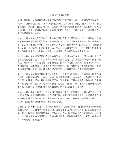 大班木工坊期末总结