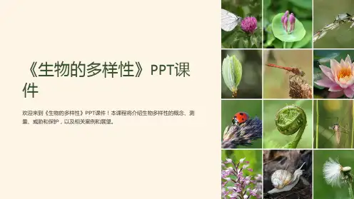 《生物的多样性》课件