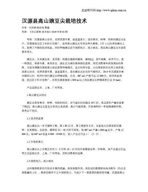 汉源县高山豌豆尖栽培技术