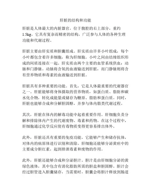 肝脏的结构和功能