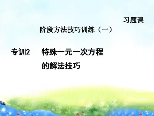 专训特殊一元一次方程的解法技巧 精品课件