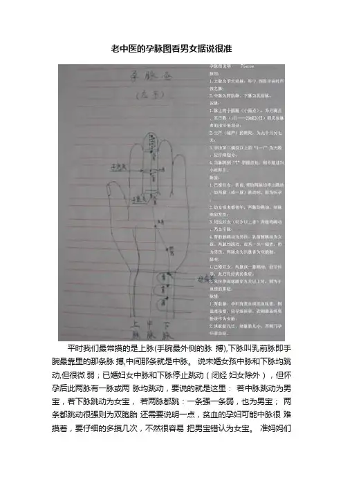 老中医的孕脉图看男女据说很准