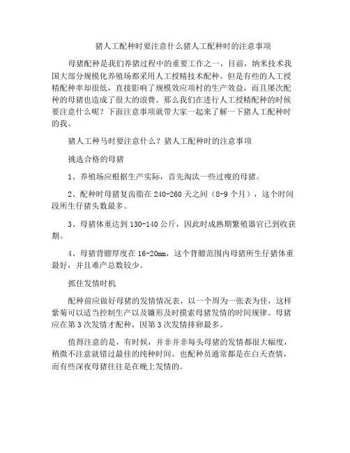 猪人工配种时要注意什么猪人工配种时的注意事项